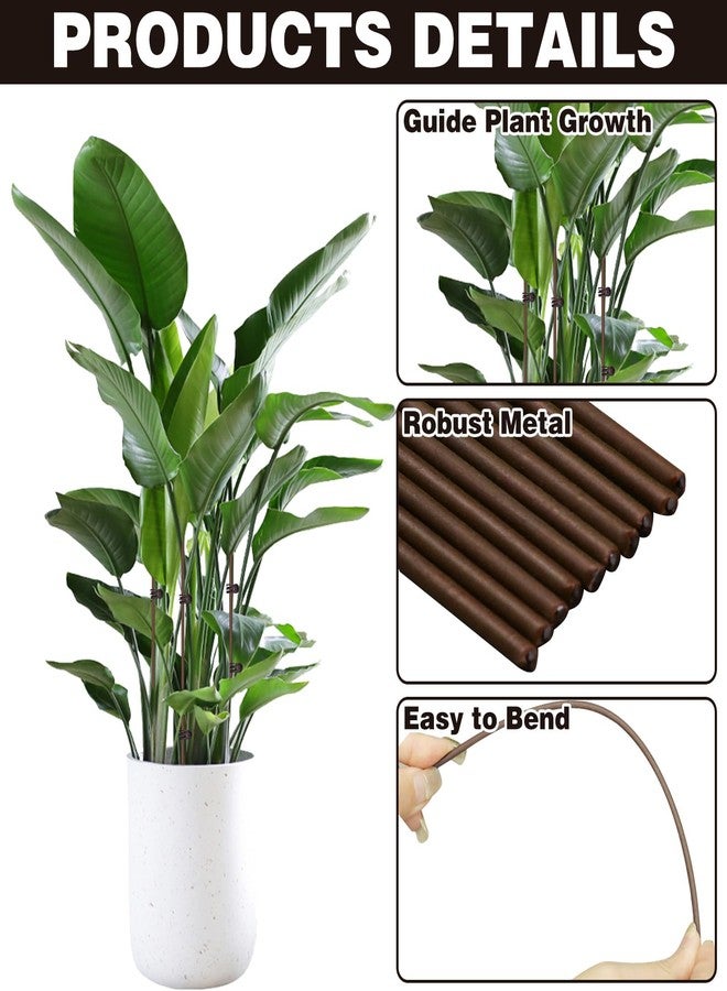 CANIPHA Plant Stake Clip Set Green, Plant Sticks Supplies Support Tall, Useful Support Clips, Fine Workmanship Allow Bending Suitable for Various Plant Pots Indoors and Outdoors (Brown) - Image 3
