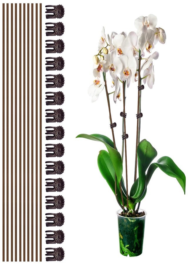 CANIPHA Plant Stake Clip Set Green, Plant Sticks Supplies Support Tall, Useful Support Clips, Fine Workmanship Allow Bending Suitable for Various Plant Pots Indoors and Outdoors (Brown) - Image 1