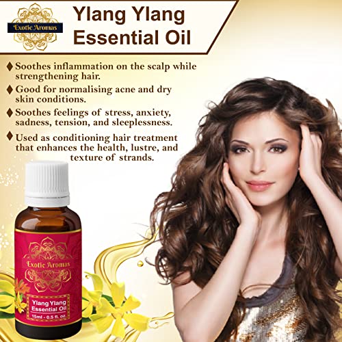 Exotic Aromas Ylang Ylang Essential Oil for Hair Strengthening, Acne Control & Aromatherapy (15Ml + 15Ml) Pack of 2 - Image 4