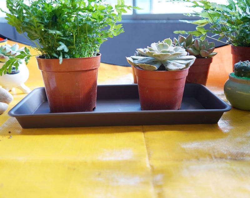 VUWEZ Rectangle Plant Tray, Plant Drip Tray, Plant Pot Saucers, Plant Germination Trays, Plant Saucers - Image 3