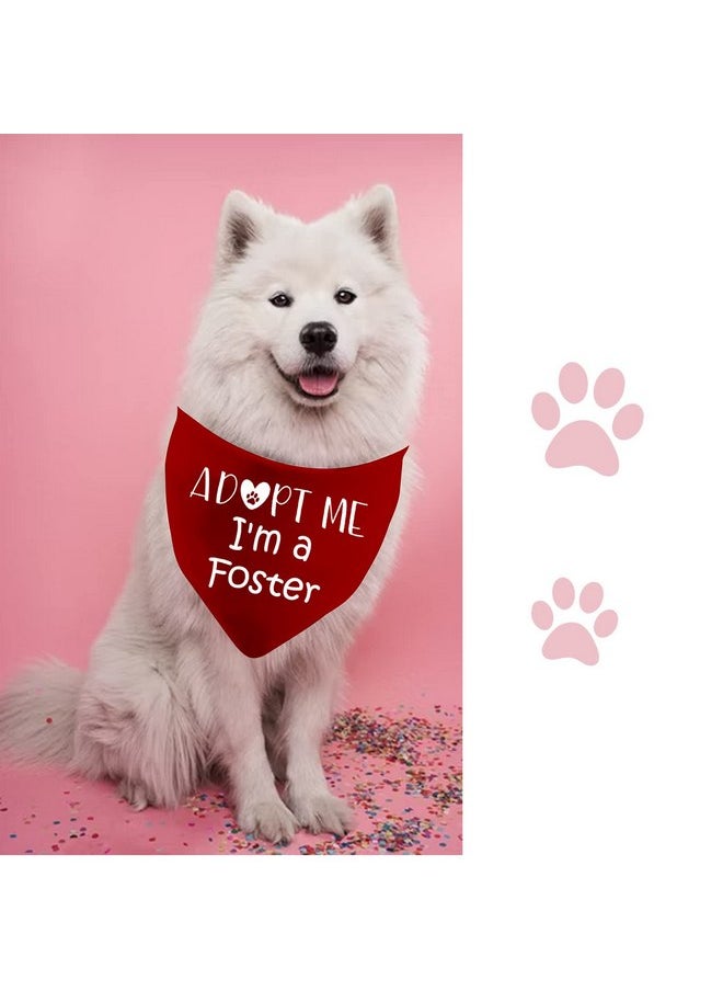 JXGZSO JXGZSO 1 Piece Adopt Me I'm a Foster Dog Bandana Adopted Dog Bandana Baby Dog Announcement Dog Bandana (I'm a Foster D)  - Image 5