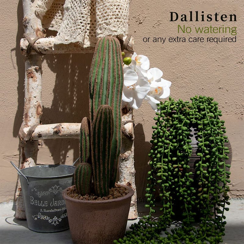 dallisten 6 Pcs Artificial Succulents Hanging Plants, Fake String of Pearls Greenery Plants, Decoration for Wall, Home, Backdrop, Garden, Indoor and Outdoor - Image 4