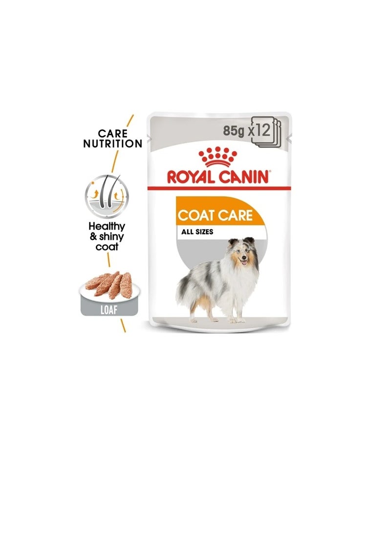 رويال كانين طعام رطب من رويال كانين كوت كير - Image 2