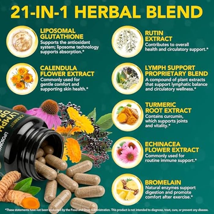 OMZOK Lymphatic Drainage Supplements, Lymphatic Drainage Capsules Supplement - Wellness Complex Formula 21 in 1 - Aescia, Turmeric, Bromelain, Echinacea & More - Lymph System Support Capsule Easy Store - Image 5