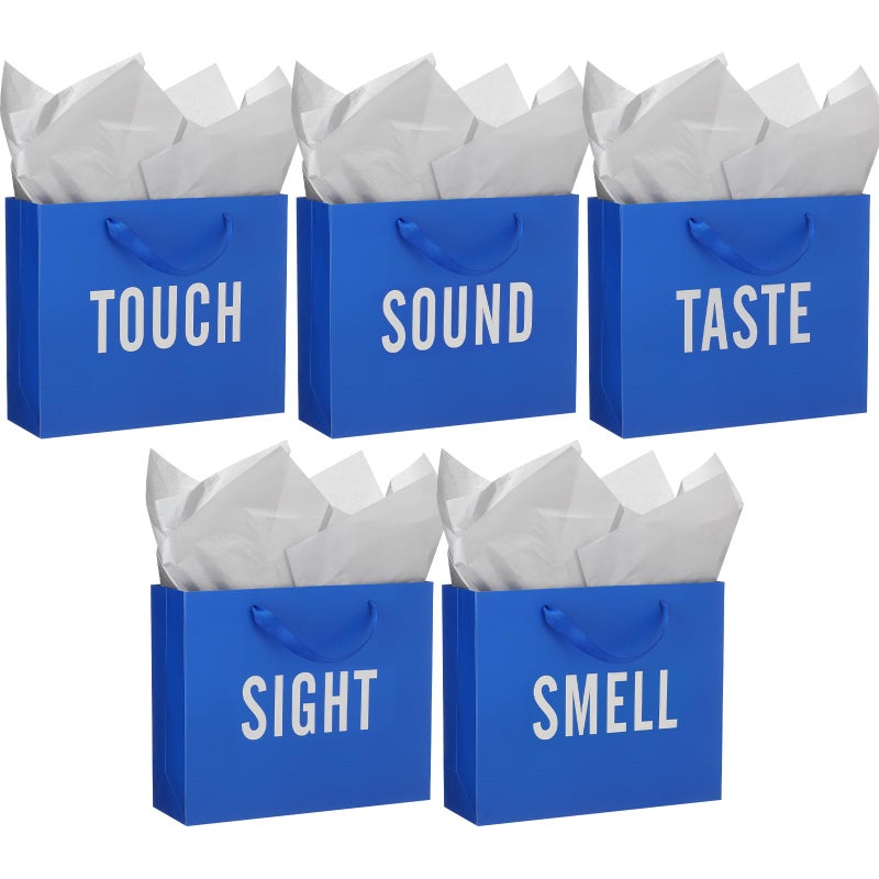 Kolldenn 5 Senses Gift Bags for Him and Her Five Senses Gift Bag with Ribbon Handles and Tissue Paper Present Wrappings for Valentine Wedding Birthday Mothers Day(Blue Silver,11.8 x 10 x 4 Inch) - Image 1