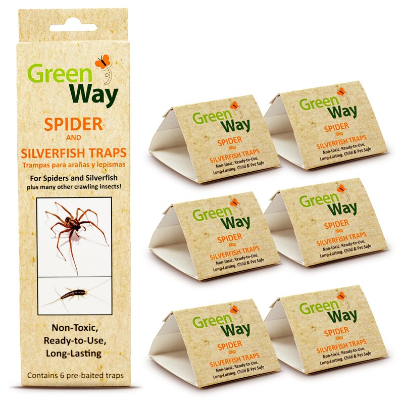 Insects Limited فخاخ فضية وعنكبوت من إنسيكتس ليمتد جرينواي (6 فخاخ) - للداخل في منزلك - Image 1