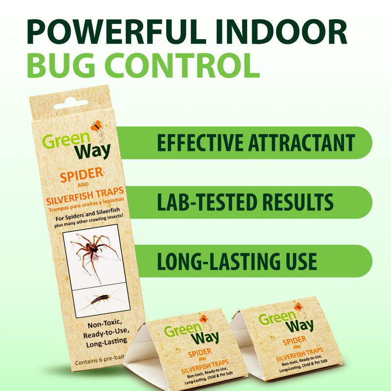 Insects Limited فخاخ فضية وعنكبوت من إنسيكتس ليمتد جرينواي (6 فخاخ) - للداخل في منزلك - Image 3