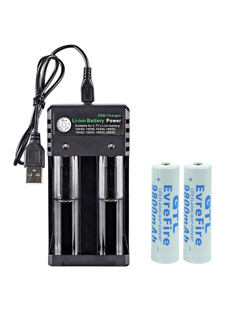 9800mAh 18650 Battery with 2 bay Charger for Rechargeable Batteries 3.7V Li-ion TR IMR 18650 14500 16340(RCR123) Red/Green Display, USB Intelligent Universal Rechargeable Battery Charger - Image 1