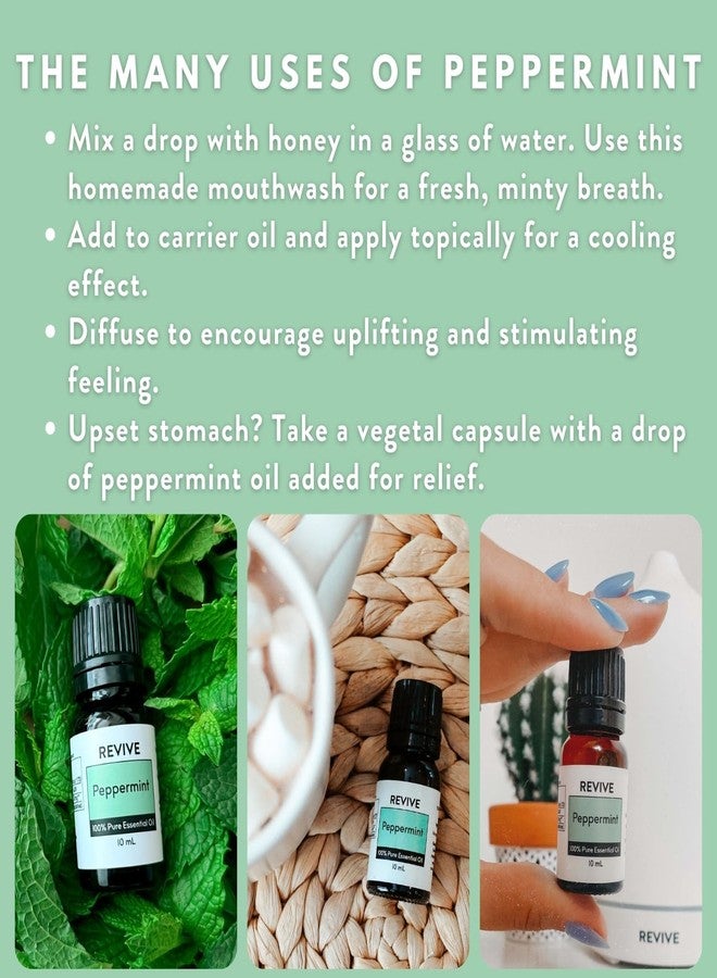 زيت النعناع العطري 120 مل من ريفايف للزيوت العطرية - نقي 100%، درجة علاجية، للاستخدام في أجهزة التبخير، وأجهزة الترطيب، والتدليك، والعلاج العطري، والعناية بالبشرة والشعر - Image 5