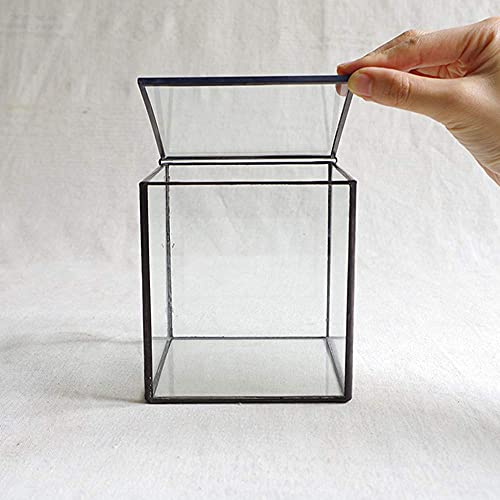 libproqia تيراريوم زجاجي مربع صغير مع غطاء، صندوق هندسي شفاف للنباتات الداخلية، وعاء نباتات يدوي صغير باللون الأسود للصبار، الطحالب ونباتات الهواء، ديكور حديقة المنزل، 4.3 × 4.3 × 4.7 بوصة - Image 4