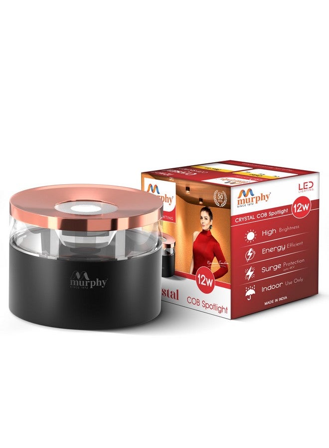 Murphy 12W Crystal Black Rose Gold Cylindrical COB Surface Lights for Ceiling (Warm White, Pack of 1) - Image 2