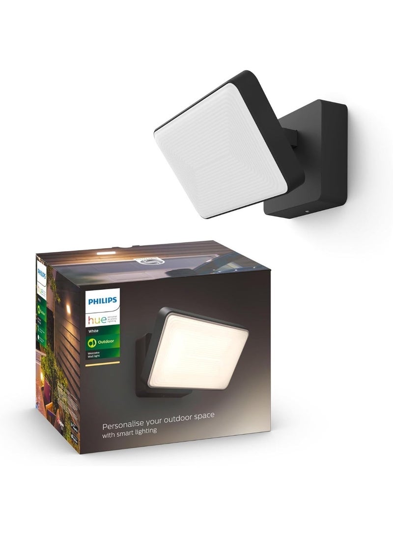 Philips Welcome White Flood Light. Outdoor Smart Lighting. Works with Alexa, Google Assistant and Apple Homekit - Image 1