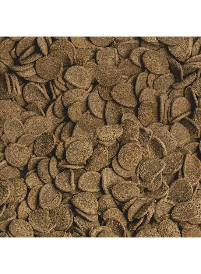 سيرا فيباتشيبس 1 علبة طعام السمك، 1.3 أونصة/100 مل - Image 4