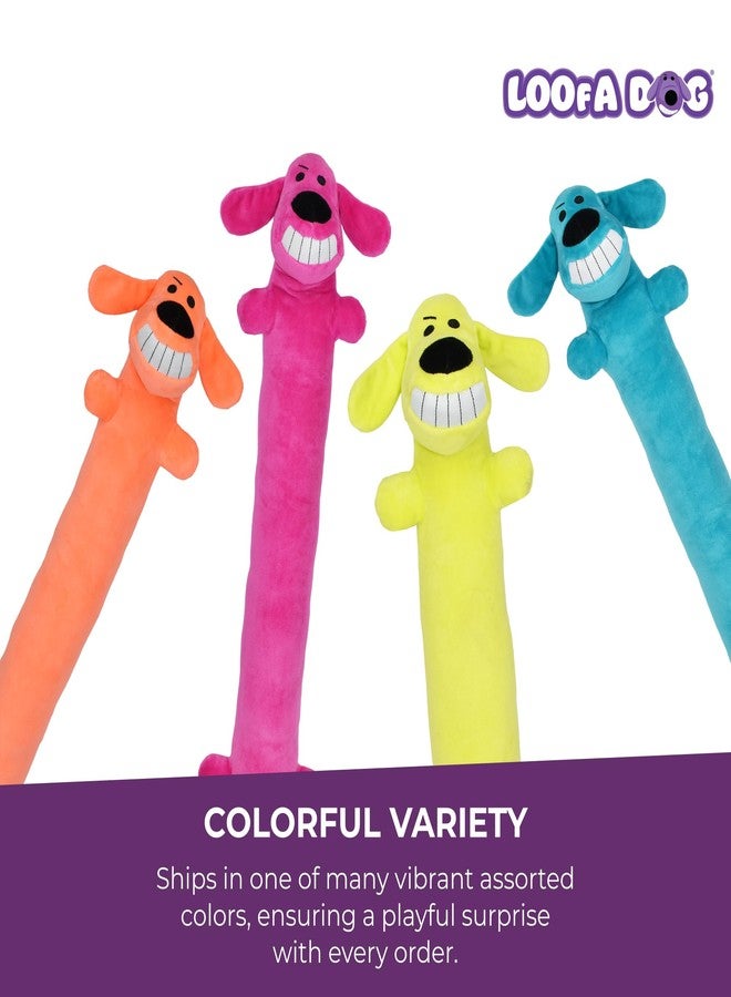 Multipet Original Loofa Dog Plush Toy - Squeaky Toy for All Dogs - Extra Soft Plush - Stuffed Animal Dog Toys for Playing (1 Count, 24”, Random Color Surprise) - Image 3