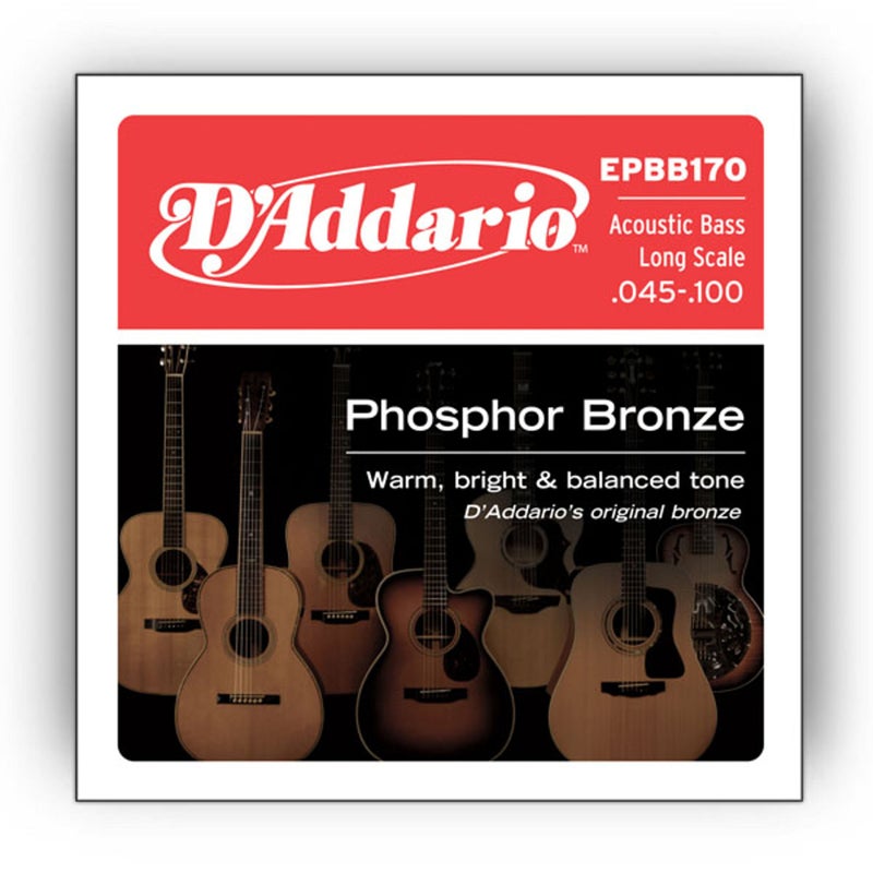 D'Addario EPBB170 Phosphor Bronze Acoustic Bass Strings, Long Scale, 45-100 - Image 5