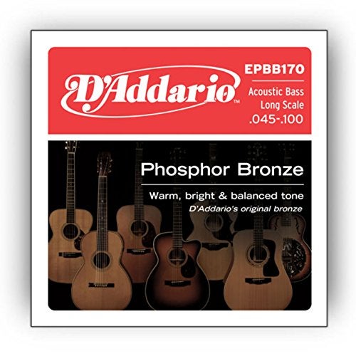D'Addario EPBB170 Phosphor Bronze Acoustic Bass Strings, Long Scale, 45-100 - Image 3