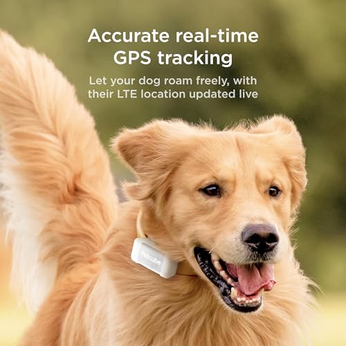 Petcube GPS Tracker for Dogs | Pet GPS Location Tracker with Escape Alerts and Virtual Fences, Activity and Wellness Monitoring, Glows in a Dark, Water and Dust Proof - Image 2
