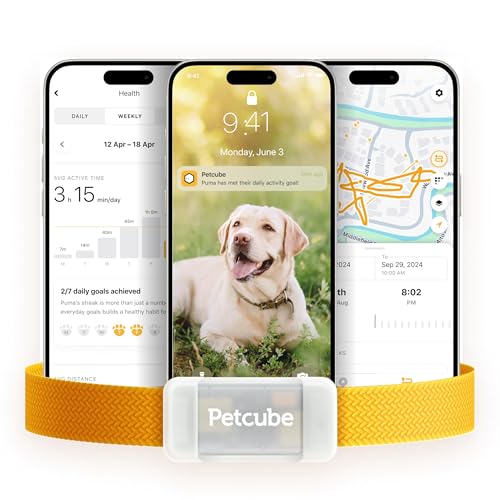 Petcube GPS Tracker for Dogs | Pet GPS Location Tracker with Escape Alerts and Virtual Fences, Activity and Wellness Monitoring, Glows in a Dark, Water and Dust Proof - Image 1