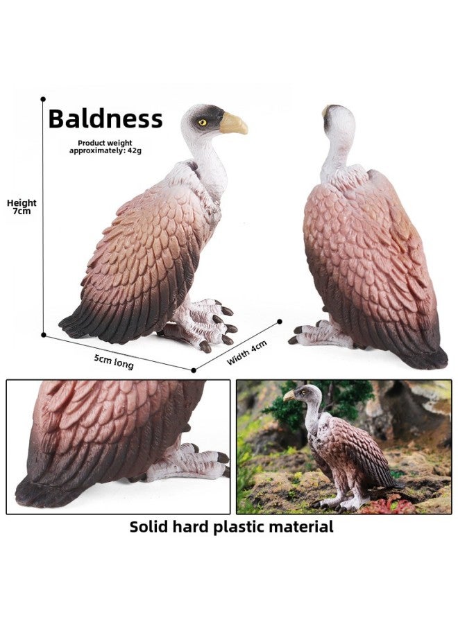 Children's Cognitive Simulation Wild Animal Model Toy Jungle Thorn Group Hedgehog Mouse Burr Stealing Melon Badger Hedgehog Ornaments-Color:M-2559 Vulture  - Image 1