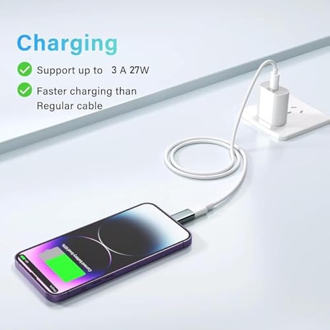rayihni USB C TYPE C TO LIGHTNING ADAPTER （2 PACK） 3A 27W FAST CHARGING SUPPORT DATA SYNC,LIGHTNING TO USB TYPE C CABLE ADAPTER FOR IPHONE/IPAD/FOR AIRPODS,WITH ANTI-LOST LOOP,NOT FOR AUDIO/OTG - Image 2