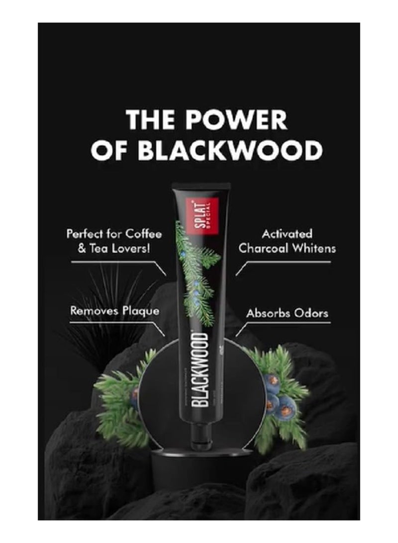 SPLAT Special Blackwood Charcoal Natural Toothpaste Powerful Whitening 75ml - Image 3