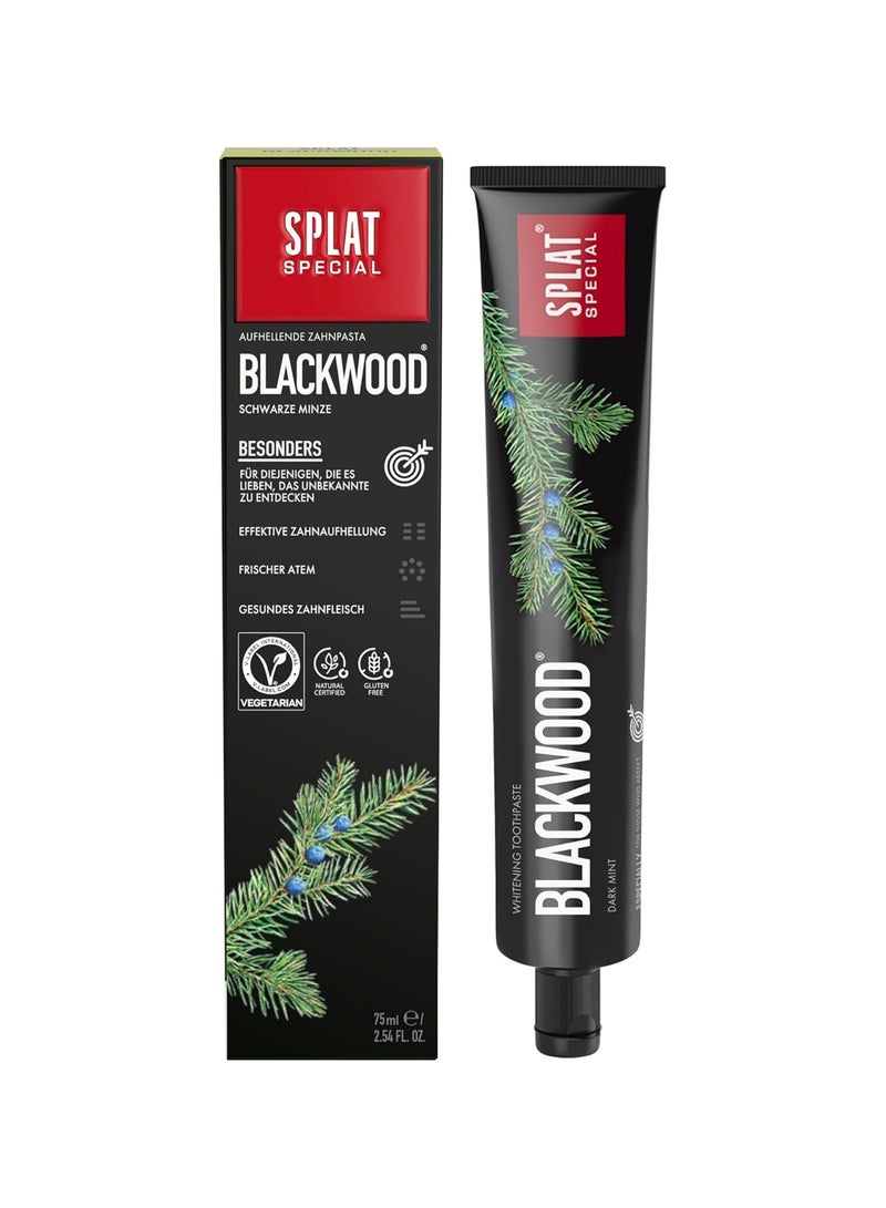 SPLAT Special Blackwood Charcoal Natural Toothpaste Powerful Whitening 75ml - Image 1