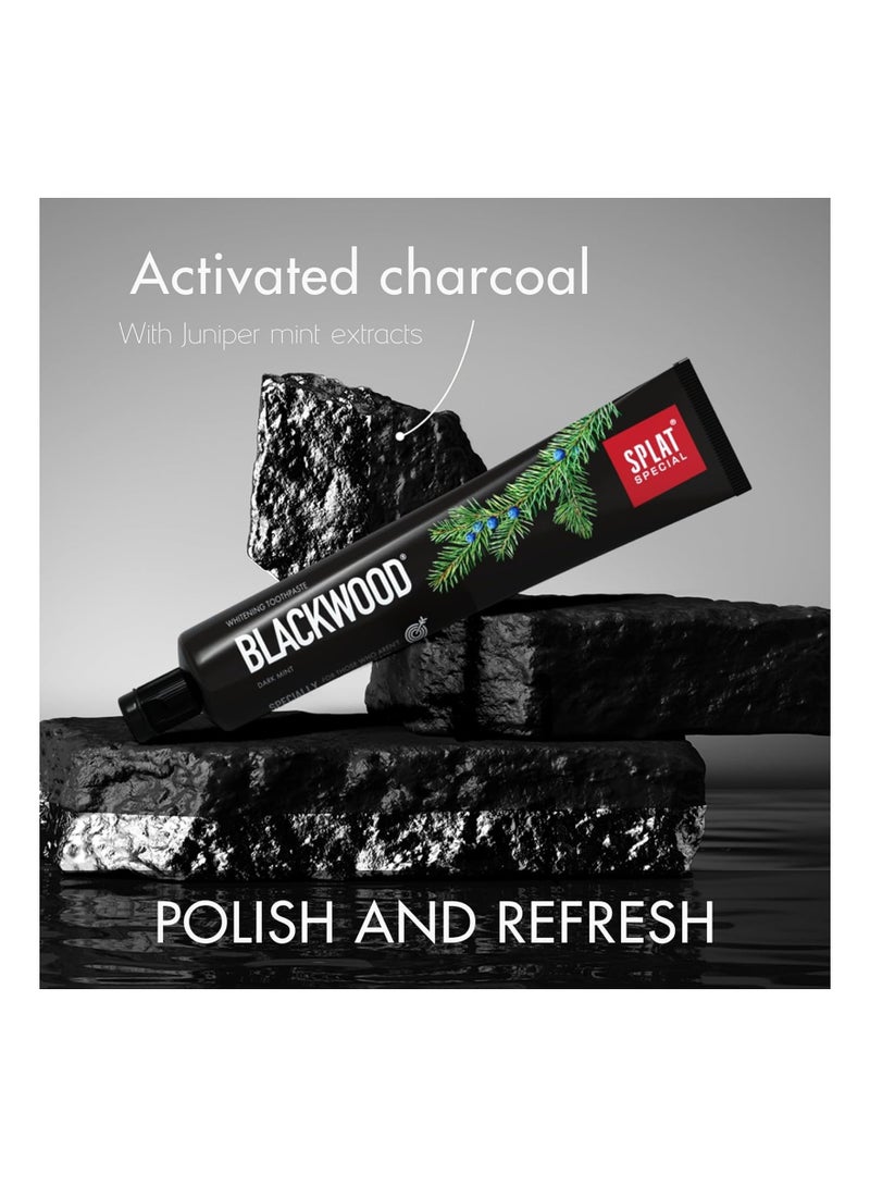 SPLAT Special Blackwood Charcoal Natural Toothpaste Powerful Whitening 75ml - Image 4