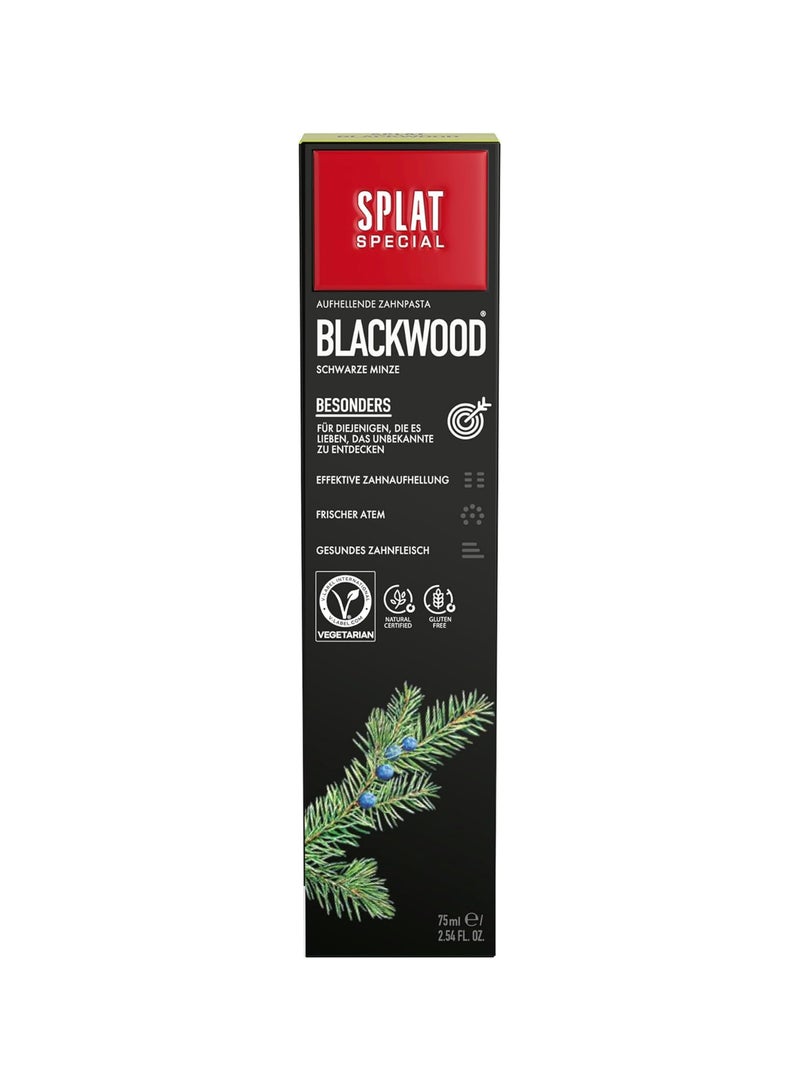 SPLAT Special Blackwood Charcoal Natural Toothpaste Powerful Whitening 75ml - Image 2