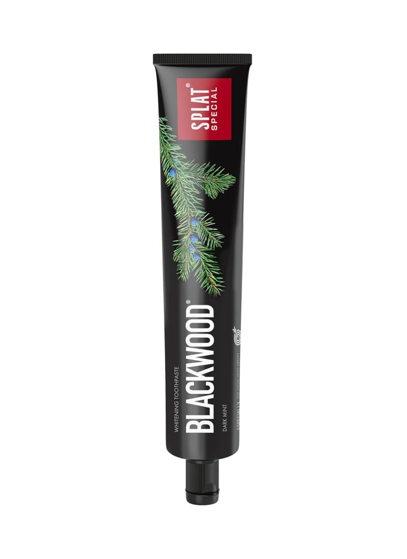 SPLAT Special Blackwood Charcoal Natural Toothpaste Powerful Whitening - Image 2