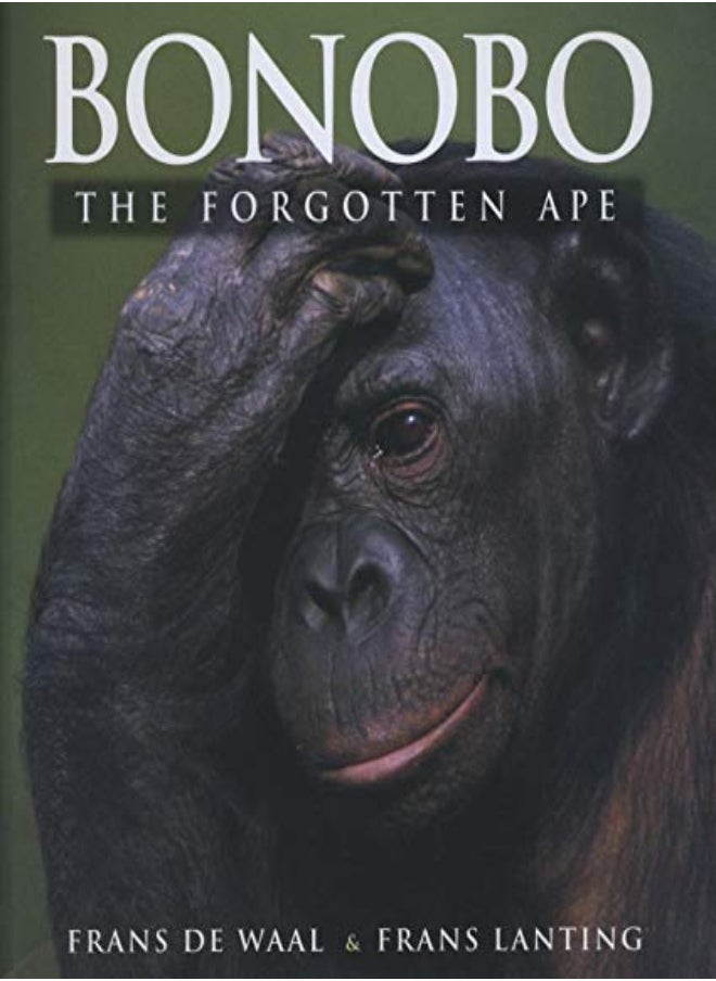 Bonobo 