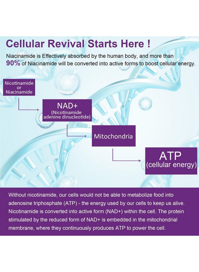 NEVISS جواهر نيكوتيناميد خالية من السكر 500 ملغ، (نياسين خالي من الاحمرار) مكمل فيتامين ب3 نيكوتيناميد لتجديد الخلايا، مستويات NAD+، مكافحة الشيخوخة، طاقة خلوية، تركيز وإصلاح الحمض النووي، طول العمر، 60 حبة - Image 5