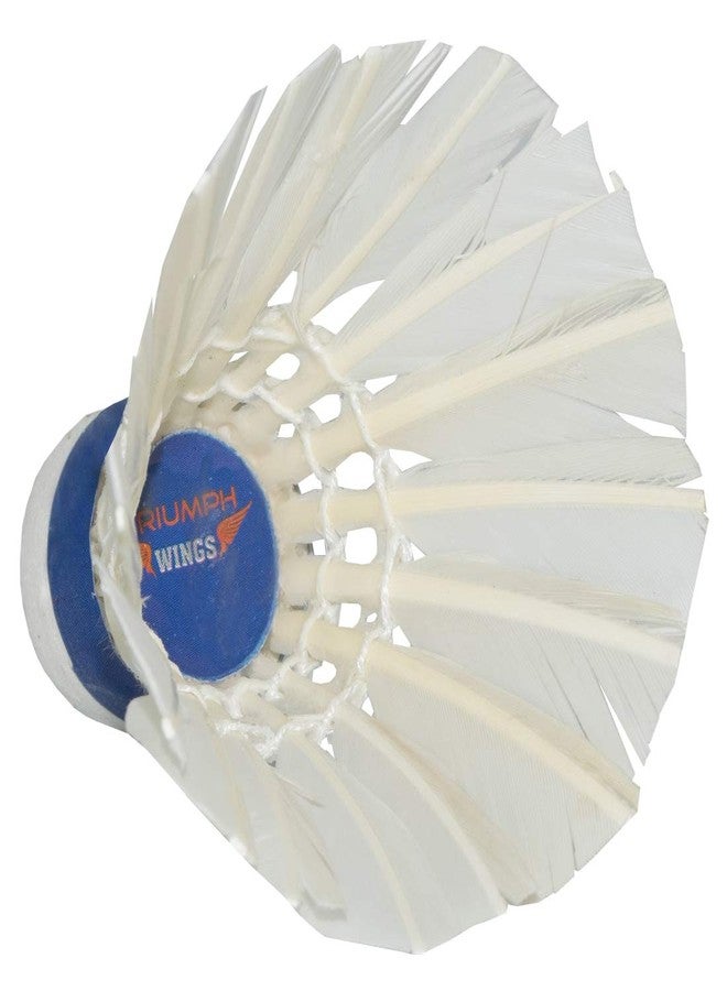 TRIUMPH Badminton Racket, Badminton Shuttle Cock, Badminton Racquet Triumph Passion 1 Pc with 10 Pc Triumph Wings Feather Shuttlecock & Full Racket Cover - Image 5