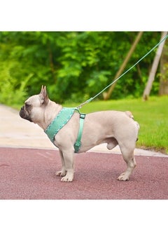 BINGPET Soft Mesh Breathable Pet Vest Harnesses, No Pull & No Choke Dog Harness, Lightweight Adjustable Vest Harness for Small and Medium Dogs  - Image 2