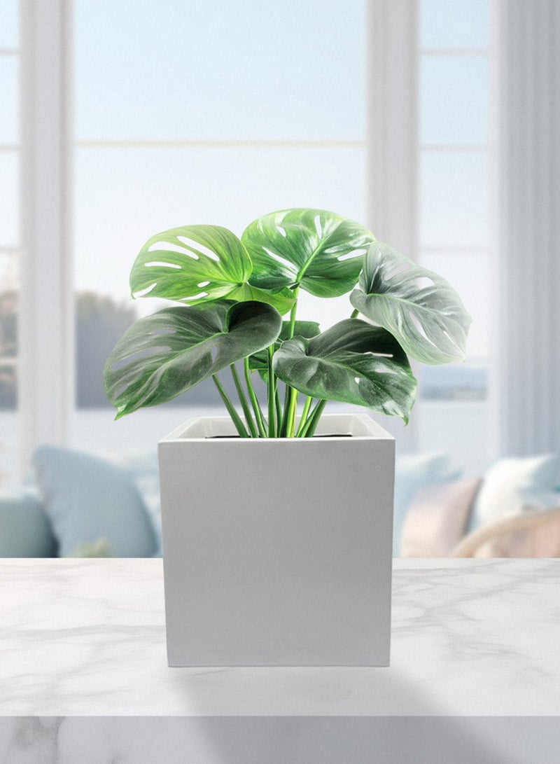 Modern Square garden Planter – 30x30cm Indoor/Outdoor Lightweight Fiber Pot – White – Weather-Resistant, Rust-Proof Decorative Garden Planter - Image 1