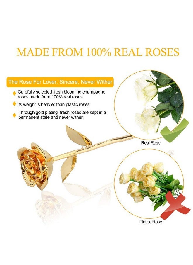ZJchao - ZJchao 24K Gold Rose for Her, Dipped Gold Rose Eternity Love Real Golden Plated Preserved Eternal Flower with Rose Stand Present for Wife/Girlfriend/Couple (Gold) - Image 1