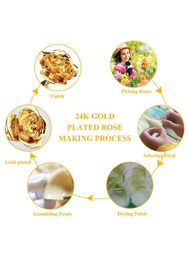 ZJchao - ZJchao 24K Gold Rose for Her, Dipped Gold Rose Eternity Love Real Golden Plated Preserved Eternal Flower with Rose Stand Present for Wife/Girlfriend/Couple (Gold) - Image 1
