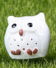Generic Mini 4-Color Owl Moss Terrarium Resin Craft 1# White 