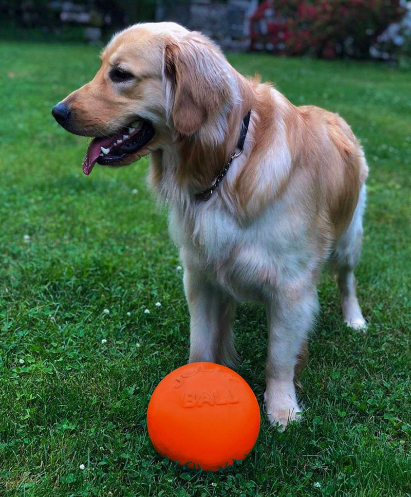Jolly Pets Bounce-n-Play Dog Toy Ball, 8 Inches/Large, Orange, (Model: 2508 OR) - Image 2