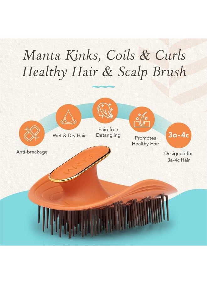 Manta Kinks Detangling Brush - Anti-Static, Curl Defining for 3a to 4c Afro and Curly Hair - Flexible Scalp Brush