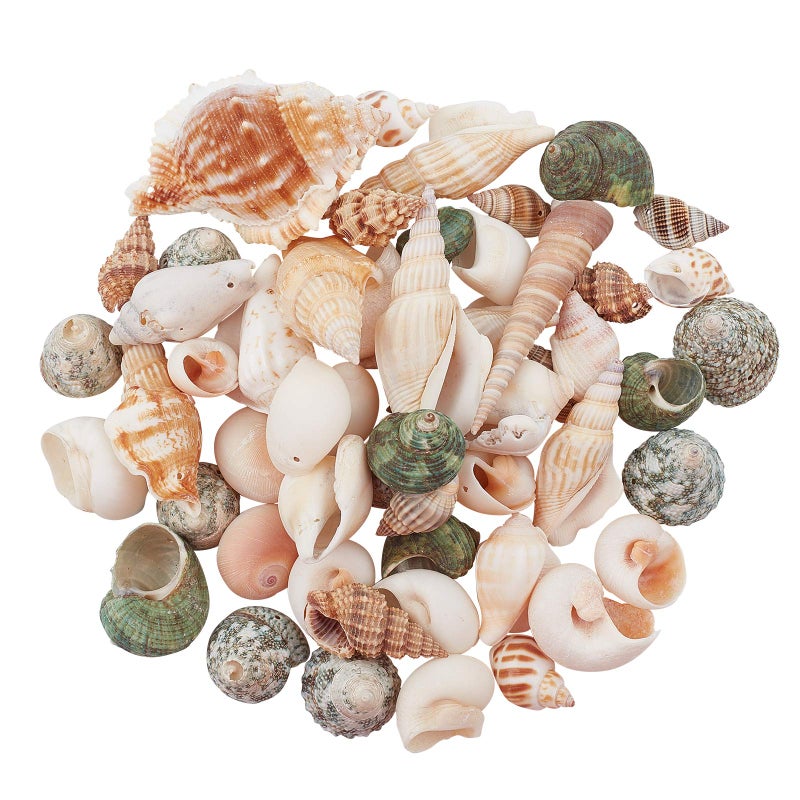 AHANDMAKER 300g Natural Spiral Shell Pendants Ocean Beach Seashells Charms Beads for Jewelry Making, Candle Making, Home Decorations, Party Wedding Decor, DIY Crafts, Fish Tank and Vase Fillers