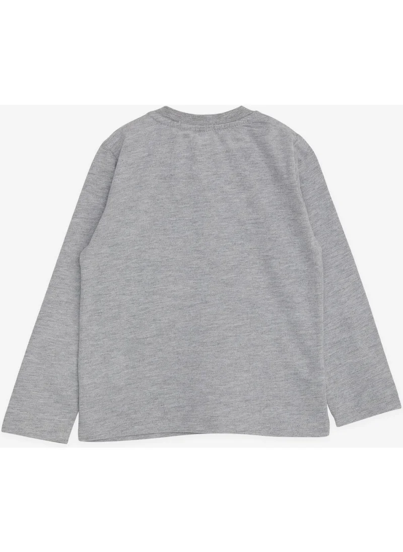 Breeze Baby Boy Long Sleeve T-Shirt with Teddy Bear Printed Text Embroidery 9 Months-3 Years, Gray Melange