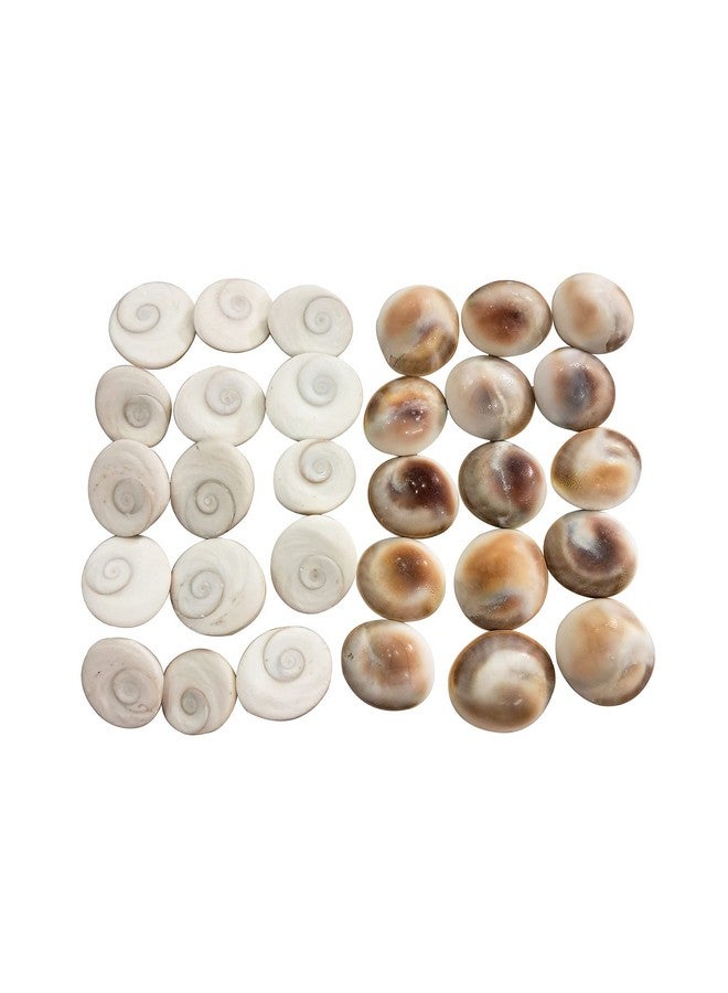 BrijBooti Gomati Chakra 51 Pieces - Stoneware Gomti Chakra - Sudarshan Chakra - Natural Gomti Chakra - Image 5