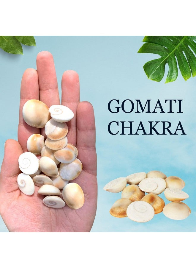 BrijBooti Gomati Chakra 51 Pieces - Stoneware Gomti Chakra - Sudarshan Chakra - Natural Gomti Chakra - Image 4