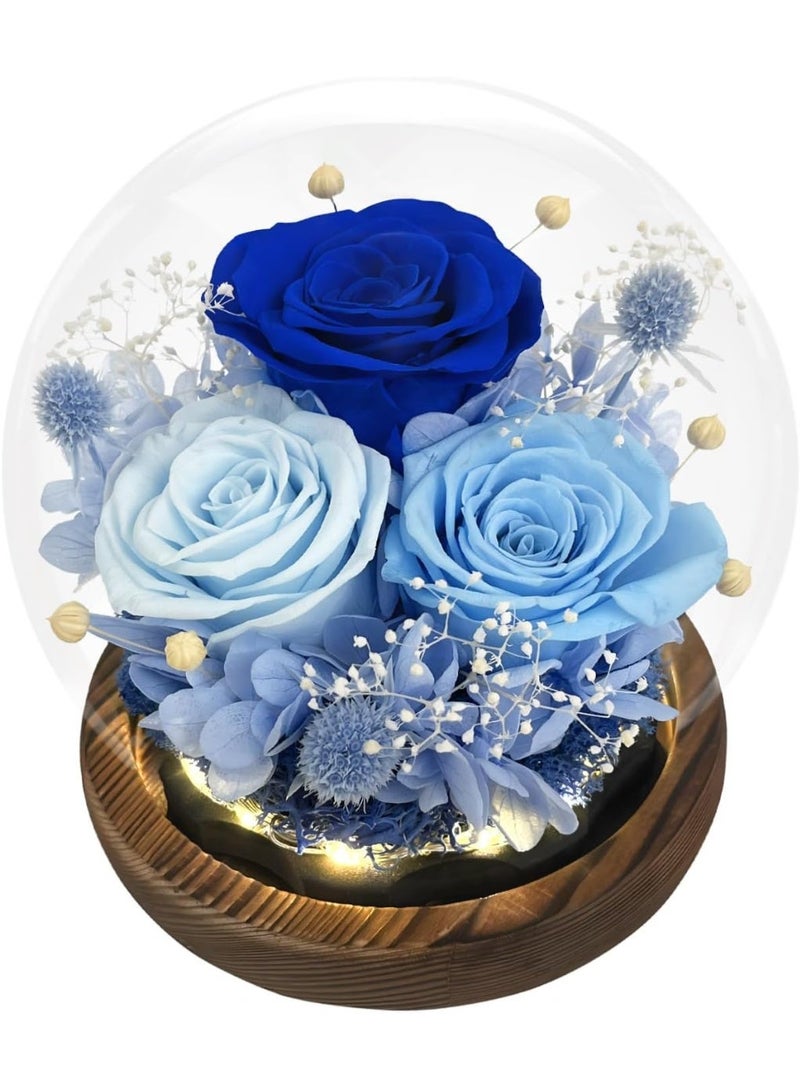 Forest Long-Lasting Real Flowers, Unique Floral Gift for You to Send Love for All Occasions, for Indoor Decoration - Image 1