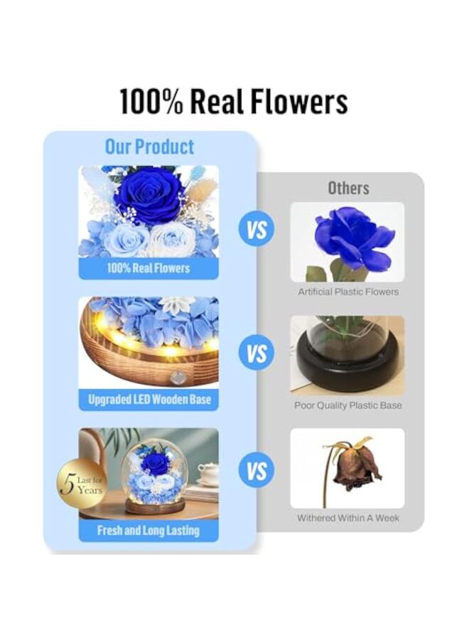 Forest Long-Lasting Real Flowers, Unique Floral Gift for You to Send Love for All Occasions, for Indoor Decoration - Image 3