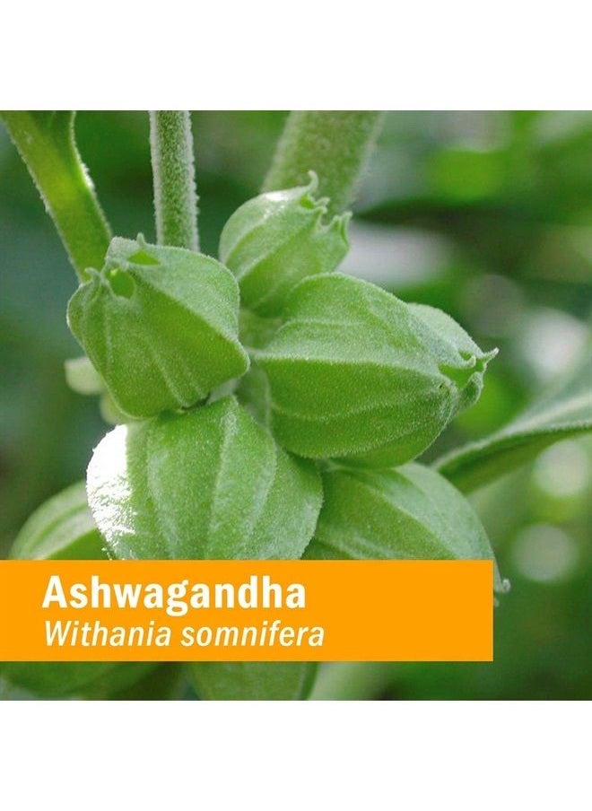 HERB PHARM Certified Organic Ashwagandha Extract Drops for Traditional Support for Energy and Vitality, Alcohol-Free Glycerite, 4 Oz  - Image 3