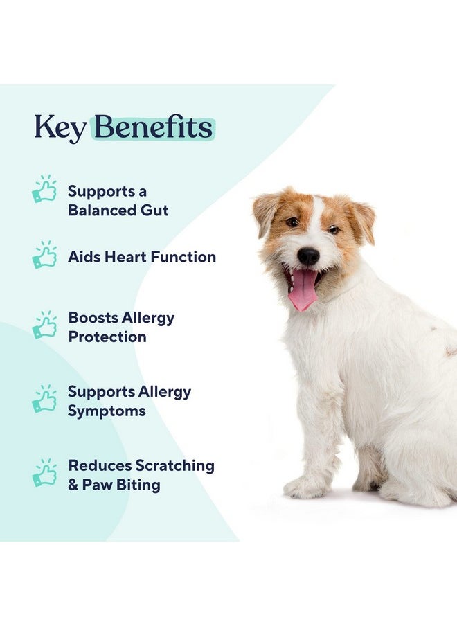 Probiotic Soft Chews | Digestive | Gut | Immune Support | Diarrhea & Constipation Relief | Allergy Response & More For Dog