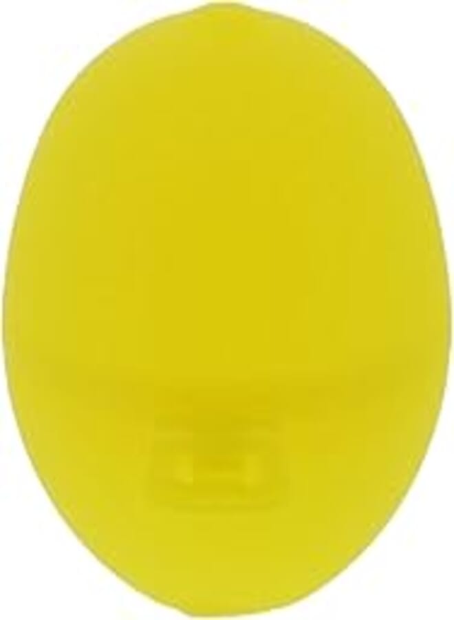 Lemon Savings Box