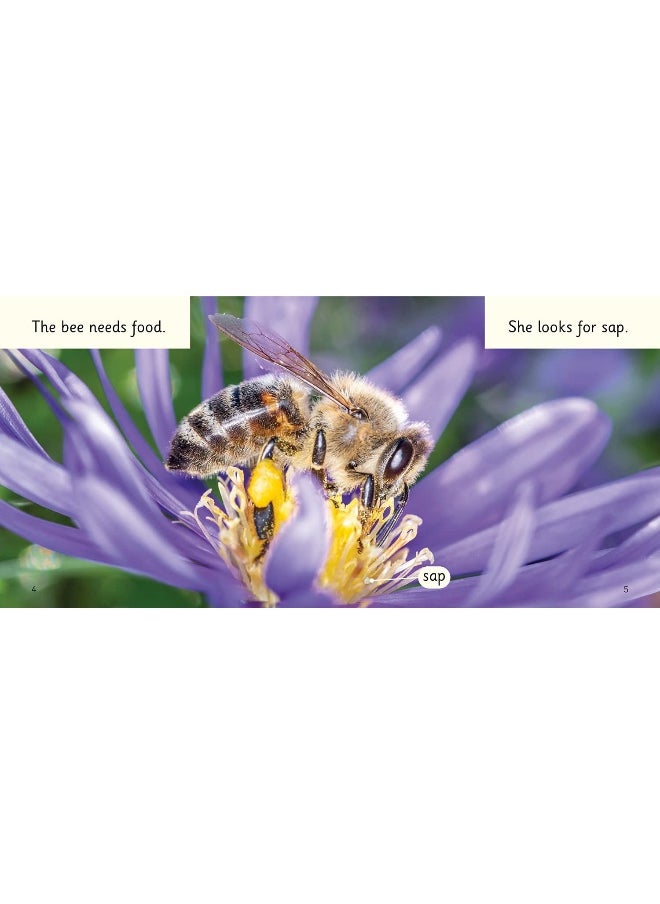Bees!: Band 02b/Red B  - Image 2