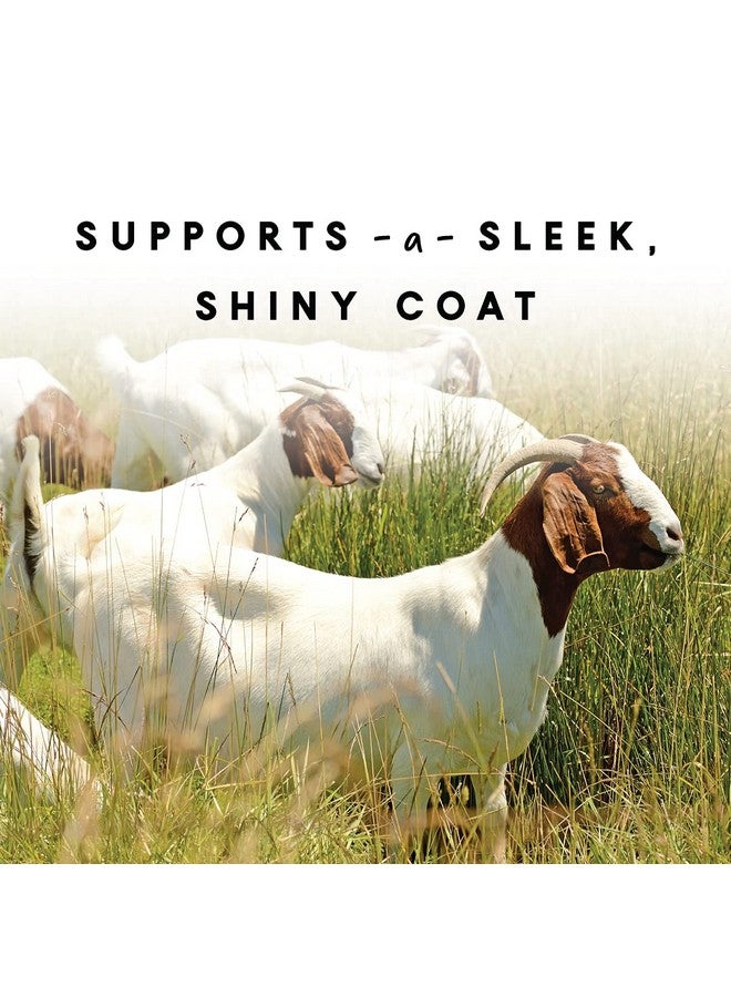 مانا برو مكمل مانا برو لفراء وبشرة الماعز، يدعم صحة البشرة، وفراء لامع، وعافية عامة، مكمل غذائي للماعز، فيتامينات ومعادن، يعزز قوة الحوافر وصحة المناعة، 4 أرطال - Image 4